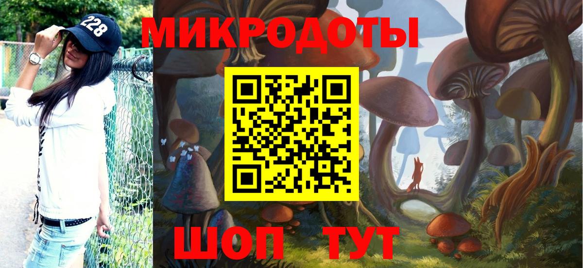 Галлюциногенные грибы прущие грибы Владимир